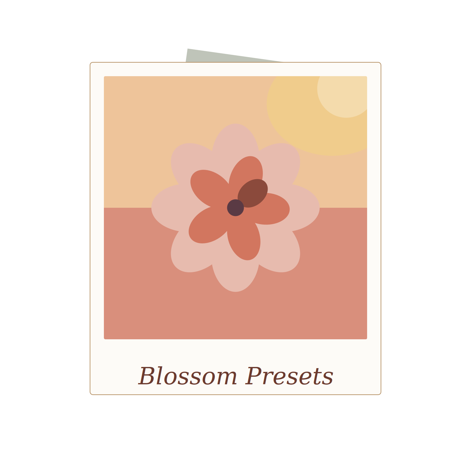 Blossom Presets — Lightroom presets